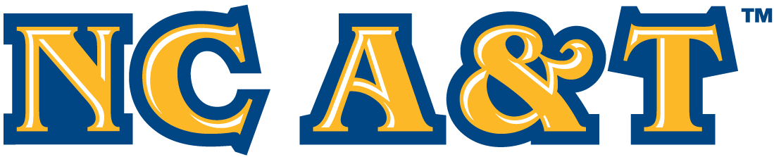 North Carolina A&T Aggies 2006-Pres Wordmark Logo v2 diy iron on heat transfer